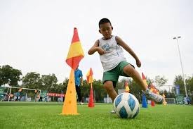 百家乐为什么要守纪律（百家乐中的纪律为何重要）